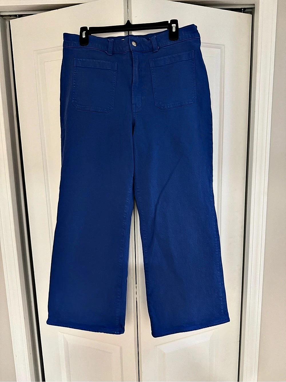 Madewell The Emily Wide-Leg Pant in Cobalt Blue Sz 31